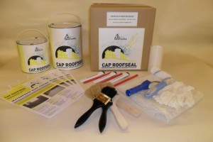 Roof Repair Kit